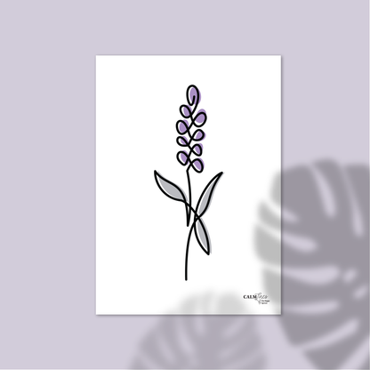 Black single-line illustration of purple lavender on white.